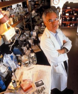 Robert Holmgren/ZUMA PRESS/TNS