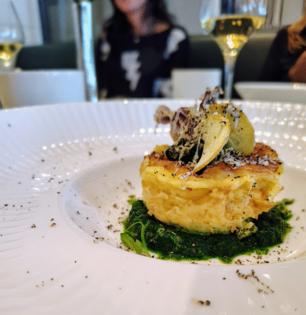 Kathy Witt/Kathy Witt/TNS