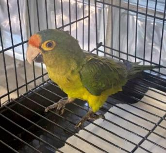 U.S. Department of Justice/U.S. Department of Justice/TNS