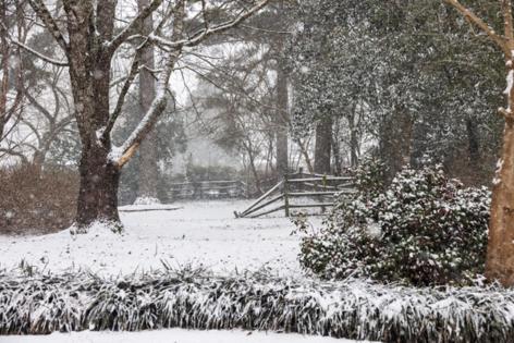 Tracy Kimball/Rock Hill Herald/TNS