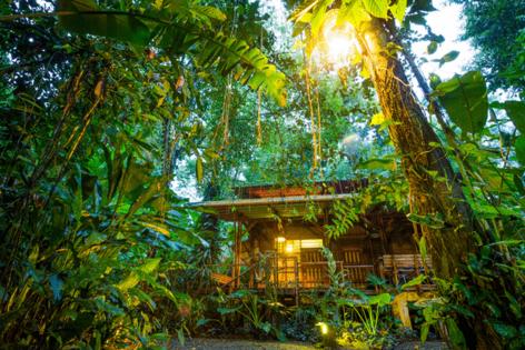 Francesco Riccardo Iacomino/Dreamstime/TNS