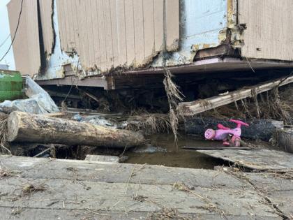 Courtesy Carolyn Hoover/TNS/TNS