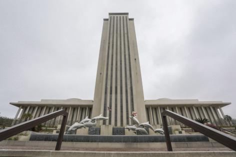 Ivy Ceballo/Tampa Bay Times/TNS