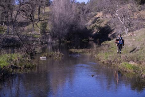Allen J. Schaben/Los Angeles Times/TNS