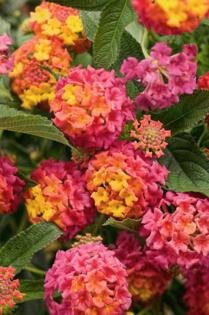 Norman Winter/Norman Winter/TNS