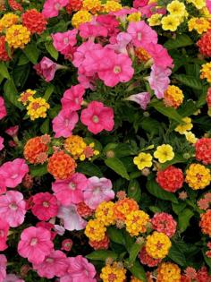 Norman Winter/Norman Winter/TNS