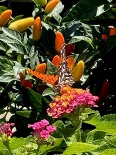 Norman Winter/Norman Winter/TNS