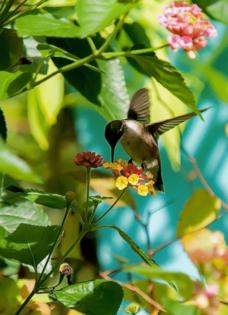 Norman Winter/Norman Winter/TNS