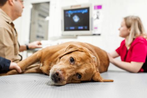 Kukota Ekaterina/Dreamstime/TNS