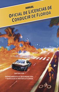 Florida Department of Highway Safety and Motor Vehicles/TNS