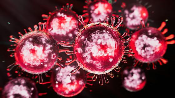 Measles is one of the most contagious diseases in the world.
              koto_feja/iSotck via Getty Images Plus