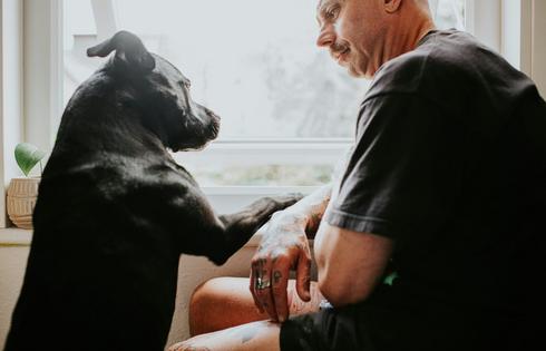 Some people appreciate relationships with pets to combat loneliness – but others simply prefer dogs' company. Catherine Falls Commercial/Moment via Getty Images