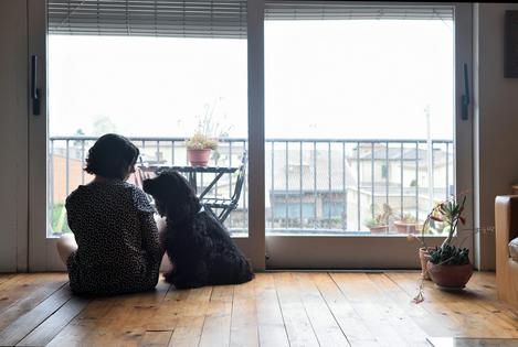 Even years after the pandemic lockdown, many people are spending more time at home – often with pets.
              curtoicurto/iStock via Getty Images Plus