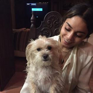 Bang Showbiz / Vanessa Hudgens is devastated after having Darla put down