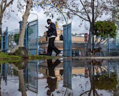 Ronaldo Bolaños/Los Angeles Times/TNS