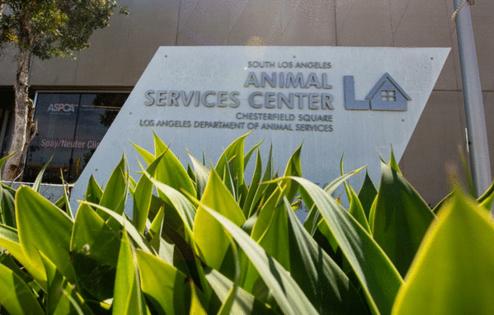 Jason Armond/Los Angeles Times/TNS