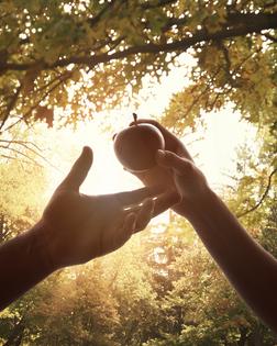 Original sin. Dreamstime/TCA