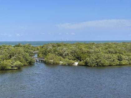 Mari Faiello/Tampa Bay Times/TNS