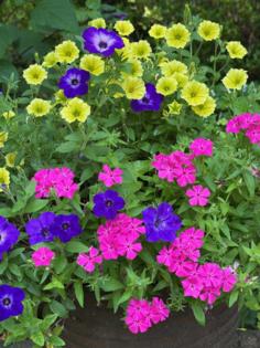 Norman Winter/Norman Winter/TNS