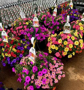 Norman Winter/Norman Winter/TNS