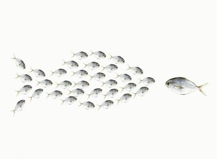 A need to be seen as the biggest fish may stem from pride and insecurity. ballyscanlon via Getty Images