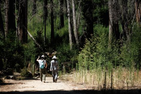 Dai Sugano/Bay Area News Group/TNS