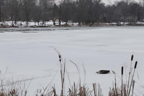 Elizabeth Robertson/The Philadelphia Inquirer/TNS