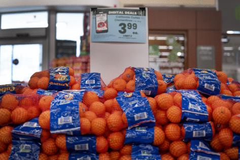 Scott Olson/Getty Images North America/TNS