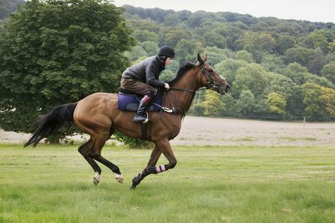 ‘Meeking’ a horse means more than subduing it.
Mint Images RF via Getty Images