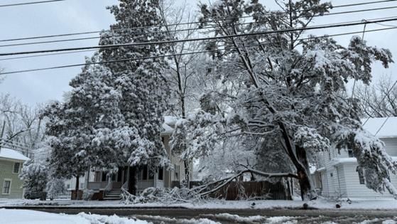 Josh Davis/Baltimore Sun/TNS