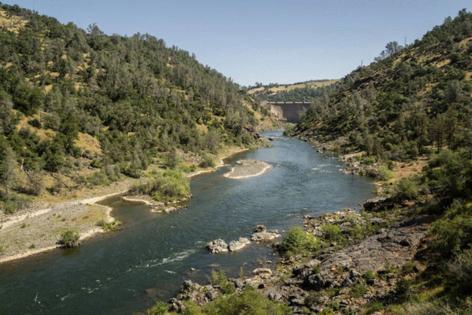 HECTOR AMEZCUA/The Sacramento Bee/TNS