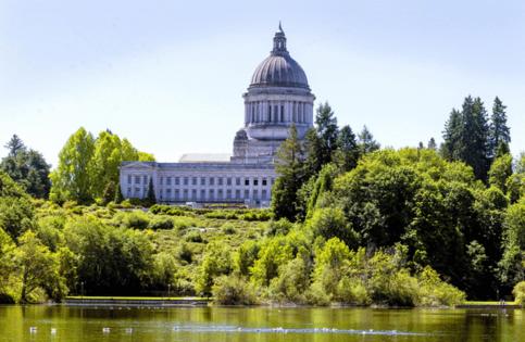 Ellen M. Banner/The Seattle Times/TNS