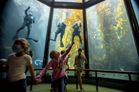 Robert Gauthier/Los Angeles Times/TNS