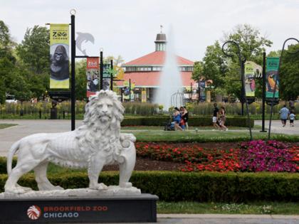 Antonio Perez/Chicago Tribune/TNS