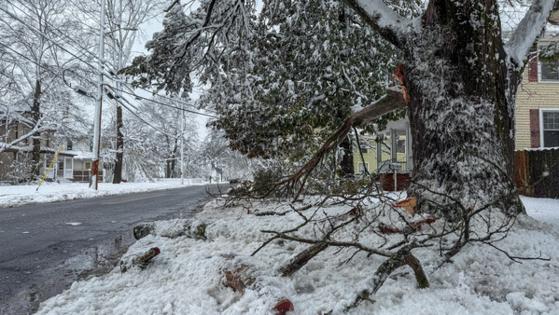 Josh Davis/Baltimore Sun/TNS