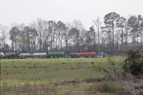 Sammy Fretwell/The State/TNS