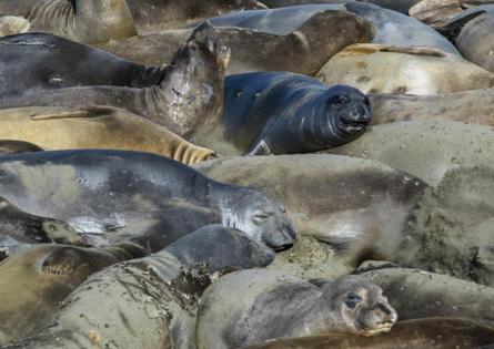 Brian van der Brug/Los Angeles Times/TNS