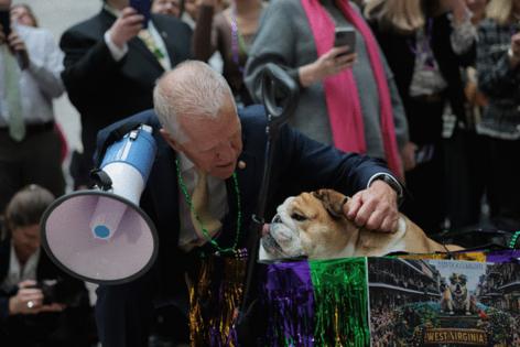 Anna Moneymaker/Getty Images North America/TNS