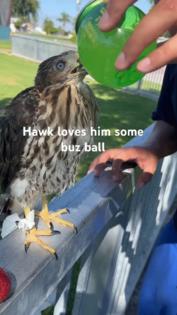 California Department of Fish and Wildlife/TNS/TNS