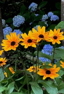 Norman Winter/Norman Winter/TNS