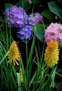 Norman Winter/Norman Winter/TNS