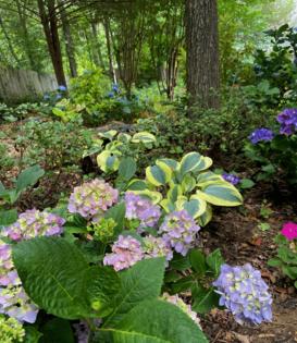 Norman Winter/Norman Winter/TNS