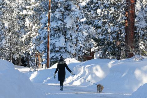 Ray Chavez/Bay Area News Group/TNS