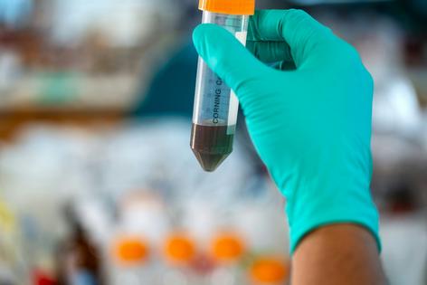 Nanoparticle ‘ink’ used for sample preparation shows the special way these nanomaterials interact with light. From a certain angle the liquid looks red, and from another, green.
Brandon Martin/Rice University