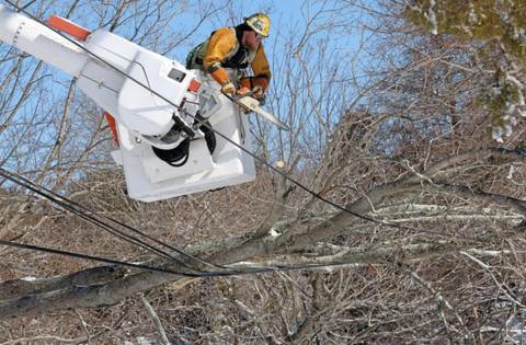 Matt Stone/Boston Herald/TNS