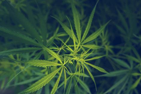 Dreamstime/Dreamstime/TNS