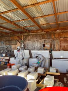 Calaveras County Sheriff’s Office/TNS/TNS