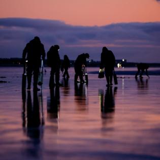 Jennifer Buchanan/The Seattle Times/TNS