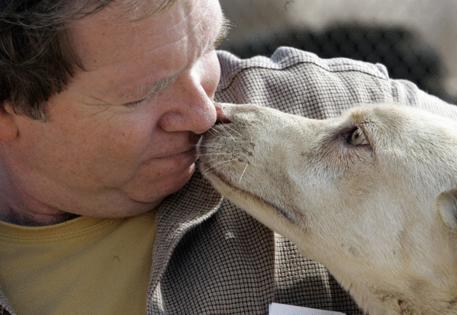 Carlos Chavez/Los Angeles Times/TNS