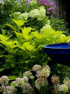 Norman Winter/Norman Winter/TNS